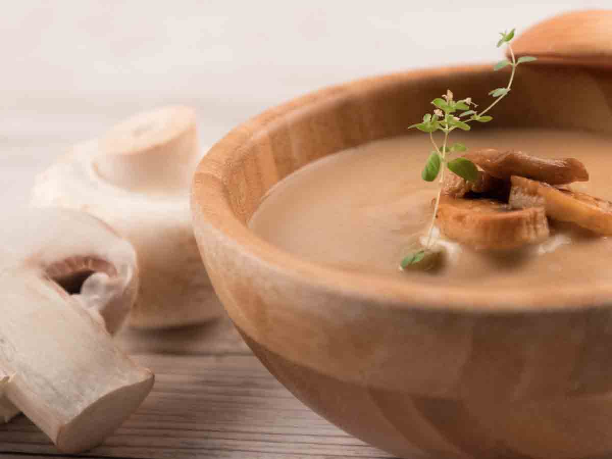 Vegan Gravy vs. Turkey Gravy