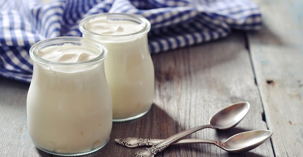 Probiotic rich yogurt