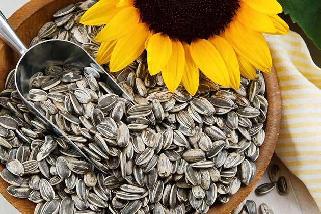 Seeds