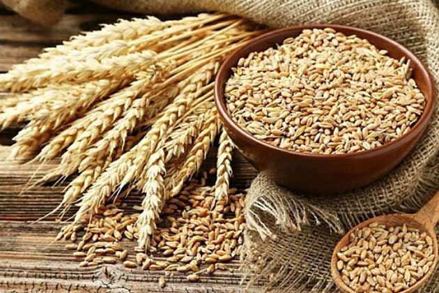 Cutting Processed Foods