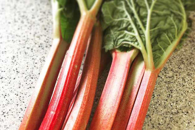 Rhubarb