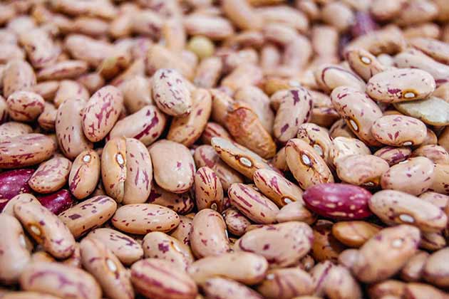 Beans