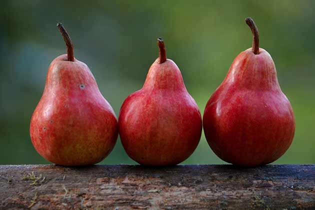 Pears