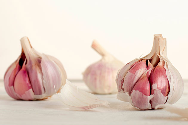 Prebiotics