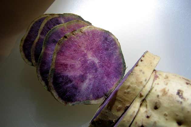 Purple Yam