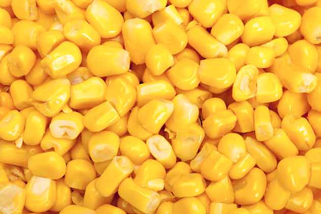 Corn