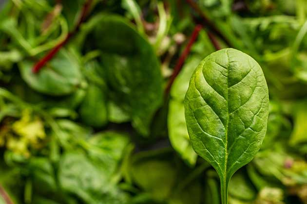 Spinach