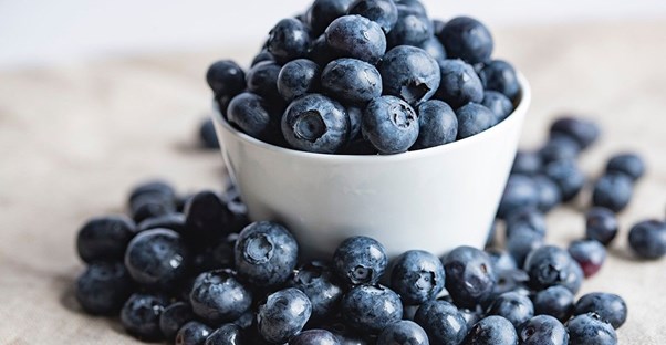 Foods That Boost Your Brain and Memory