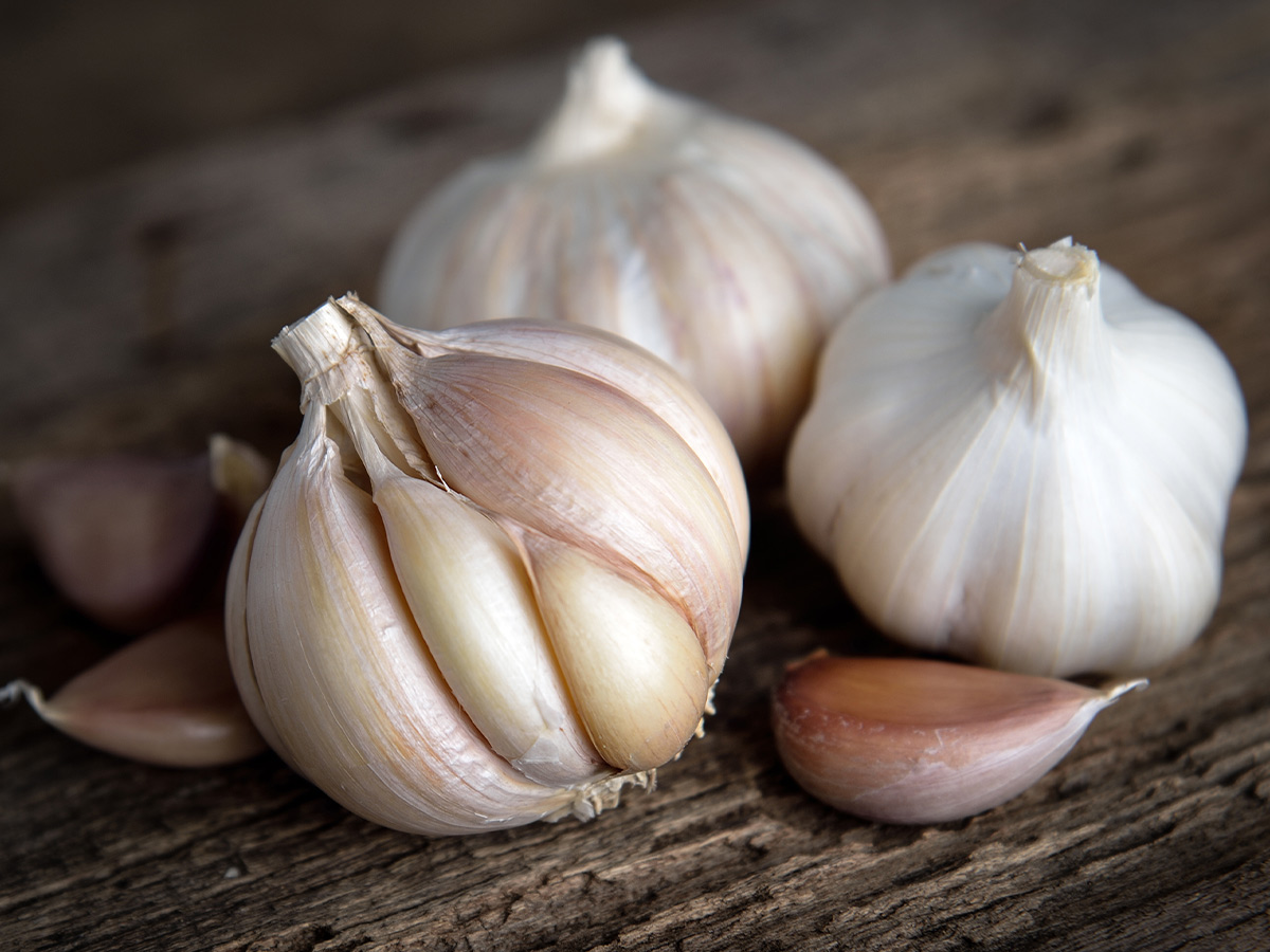 Garlic