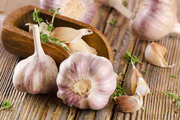 Garlic