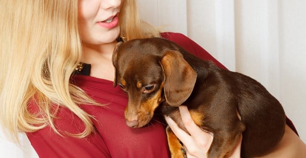 9 Ways Pets Can Improve Your Health 