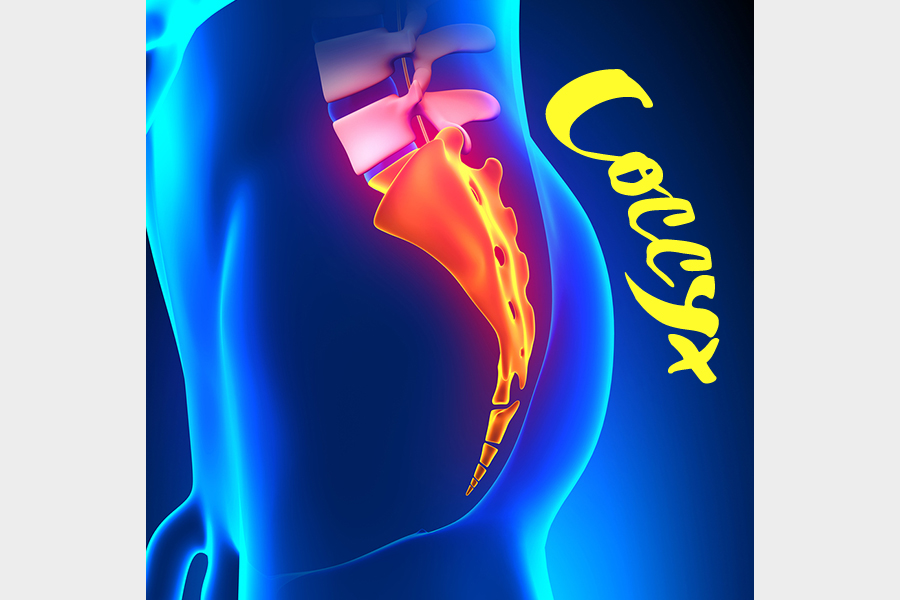 Coccyx