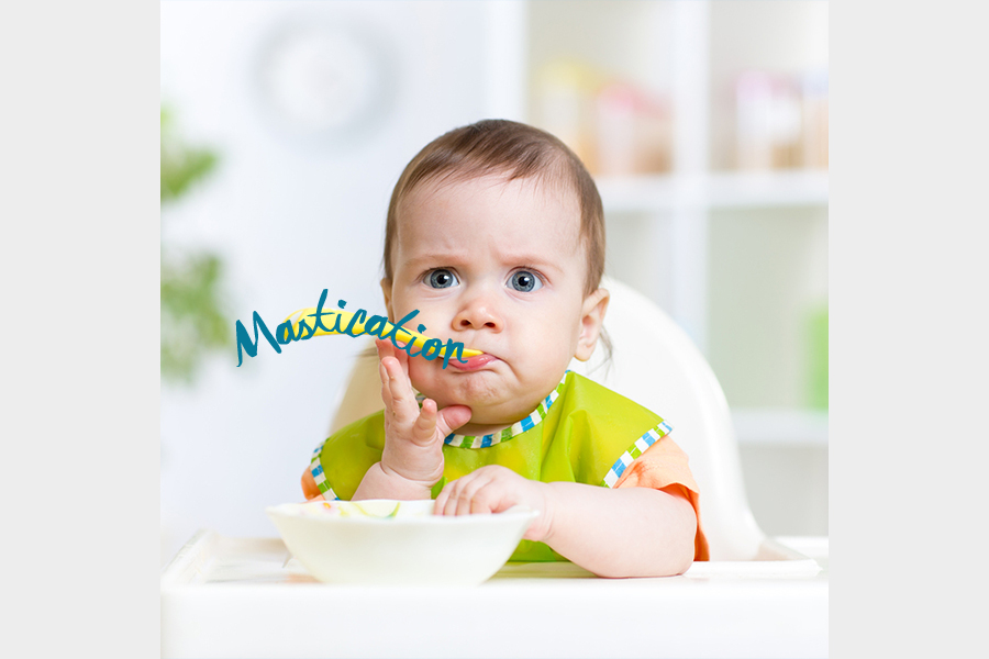 Mastication