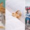 20 Modern Traditions with Pagan Origins