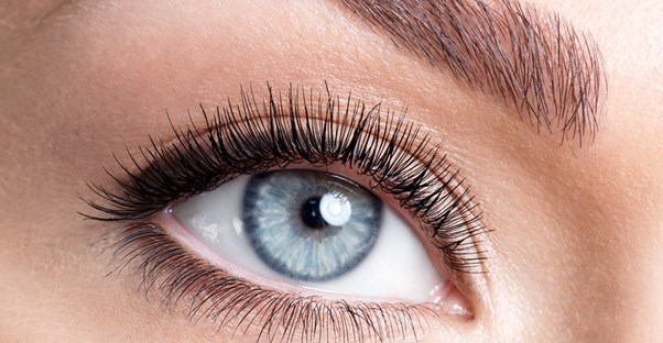 Close up of a woman's blue eye and well-sculpted eyebrows