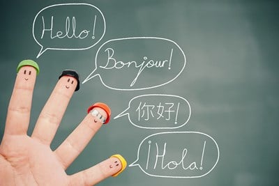 How Much Do Language Learning Programs Cost?
