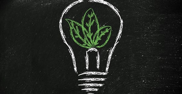 a chalk drawing of a green plant inside an eco-friendly LED light bulb to show two examples of sustainable practice