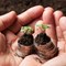 Pros and Cons of Practicing Sustainability in Your Business