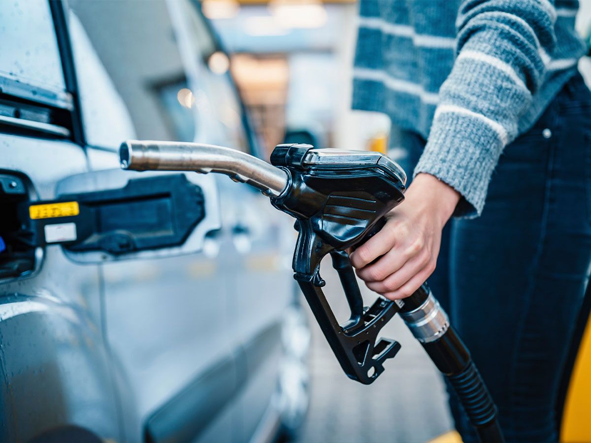 Drilling Down the Strategic Petroleum Reserve for Oil