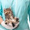 Vet Tech: 5 Terms to Know