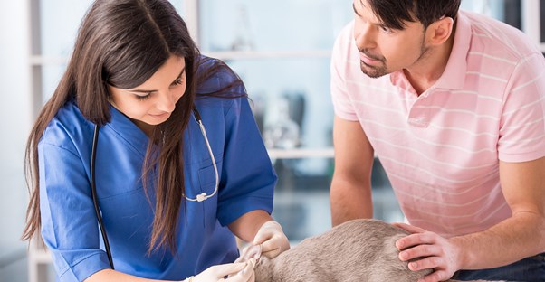 A vet assistant reassures a pet owner that his cat will be fine