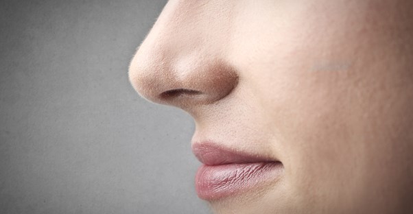 A  womans nose