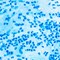 Diagnosing Blood Cancer