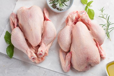 Is Salmonellosis Deadly?