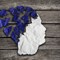 What is Lewy Body Dementia?