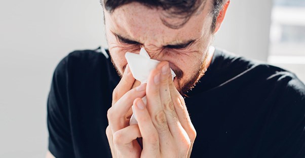 Man sneezing. Sinus infection home remedies.