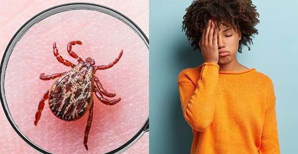 How to Live With Lyme Disease main image