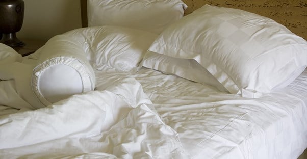 a pillow where bed bugs can hide
