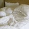 Where Do Bed Bugs Come From?