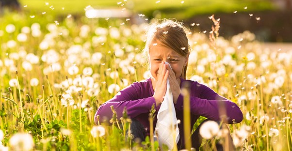 a young girl with hay fever sneezes in a meadow