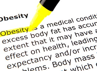 Understanding Obesity