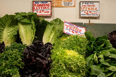 various types of lettuce in a grocery store that could have cyclospora