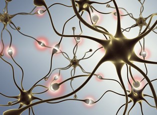 Understanding Epilepsy