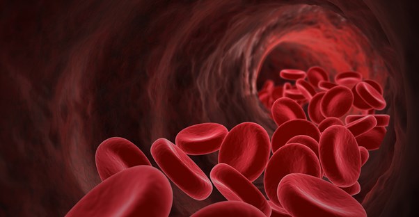 red blood cells susceptible to sickle cell anemia