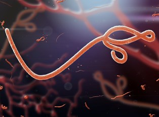 What is Ebola?