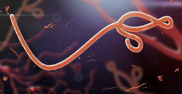 a representation of ebola