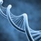 Hemophilia Risk Factors
