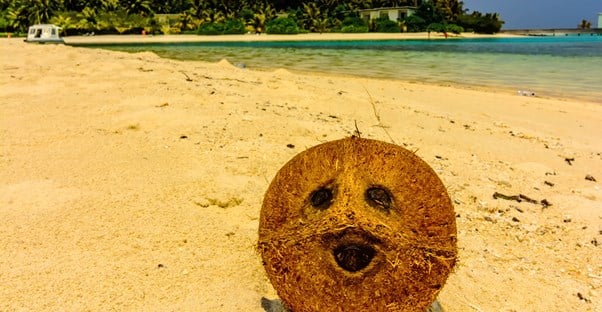 pareidolia will cause people to see a face in this coconut
