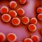 What is a Staph Infection? 