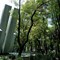 The Nightlife and Attractions of Condesa