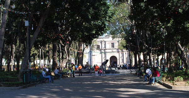 Locals sit along a tree lined street in villa coyoacan mexico city.