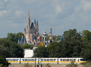 Disney World: For the Young and Young at Heart