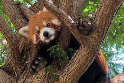 Experience the Midwest’s Wildflower: 15 Things to Do in Wichita, Kansas