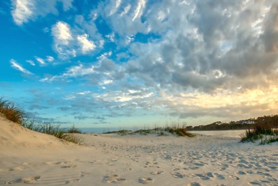 Pawleys Island Retreat: Embracing Relaxation and Rejuvenation on the South Carolina Coast