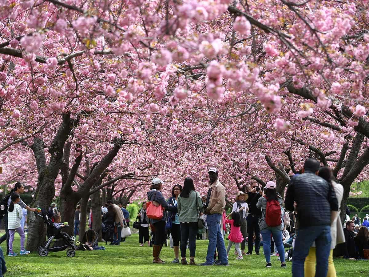 The Most Beautiful Botanical Gardens in the U.S.