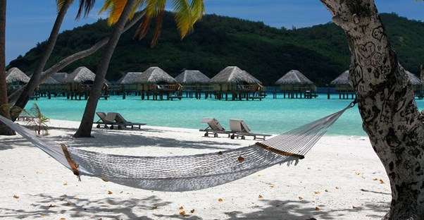 a hammock under a tree on the beach in bora bora